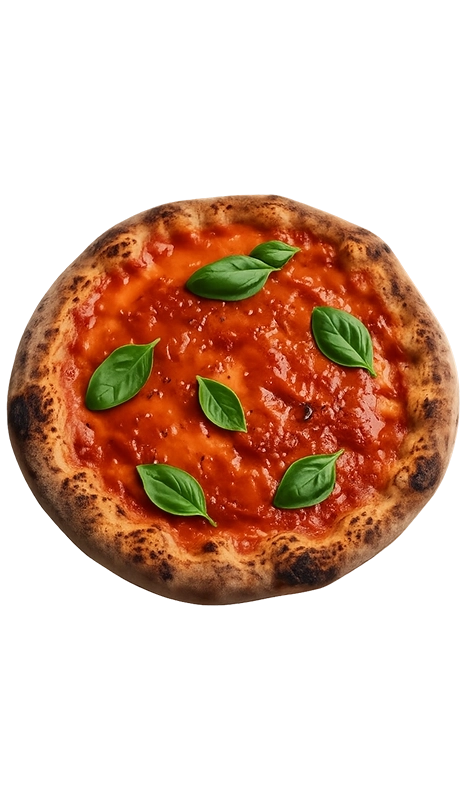 Platan Kitchen Pizza Base